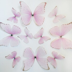 3D Wall Butterflies- Light Princess Pink image 4