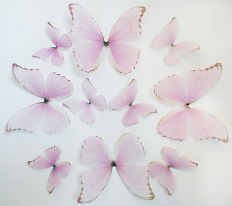 3D Wall Butterflies- Light Princess Pink image 4