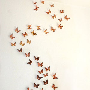 3D Wall Monarchs- set of 50