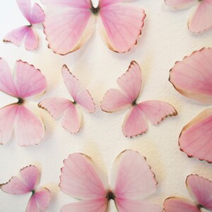 3D Wall Butterflies- Light Princess Pink image 3