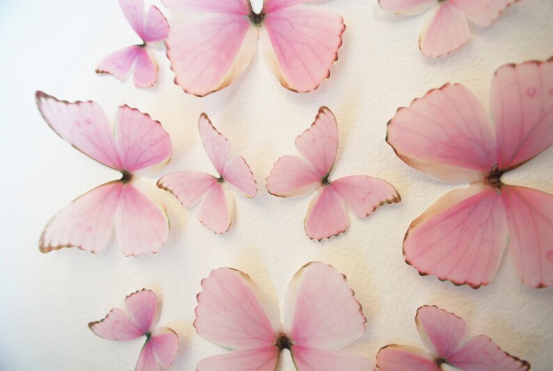 3D Wall Butterflies- Light Princess Pink image 3