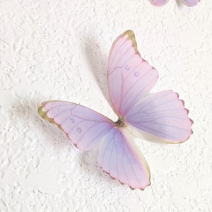 3D Wall Butterflies- Princess Purple