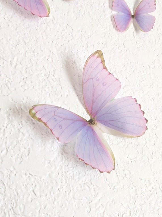 Butterfly Wall Stickers for Home Decorations with 72 Pcs 3D De