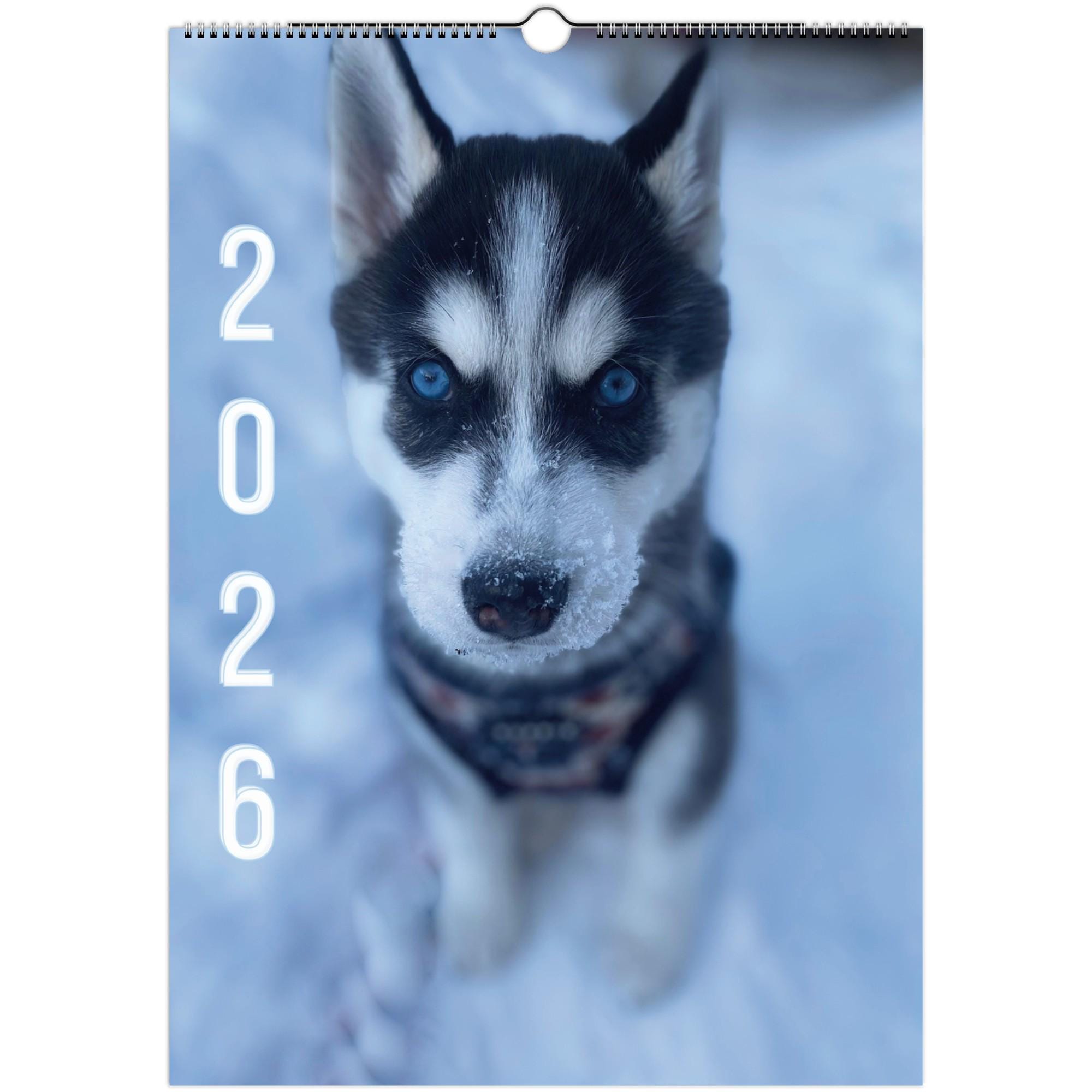 Husky picture - Etsy México, image size:2000x2000