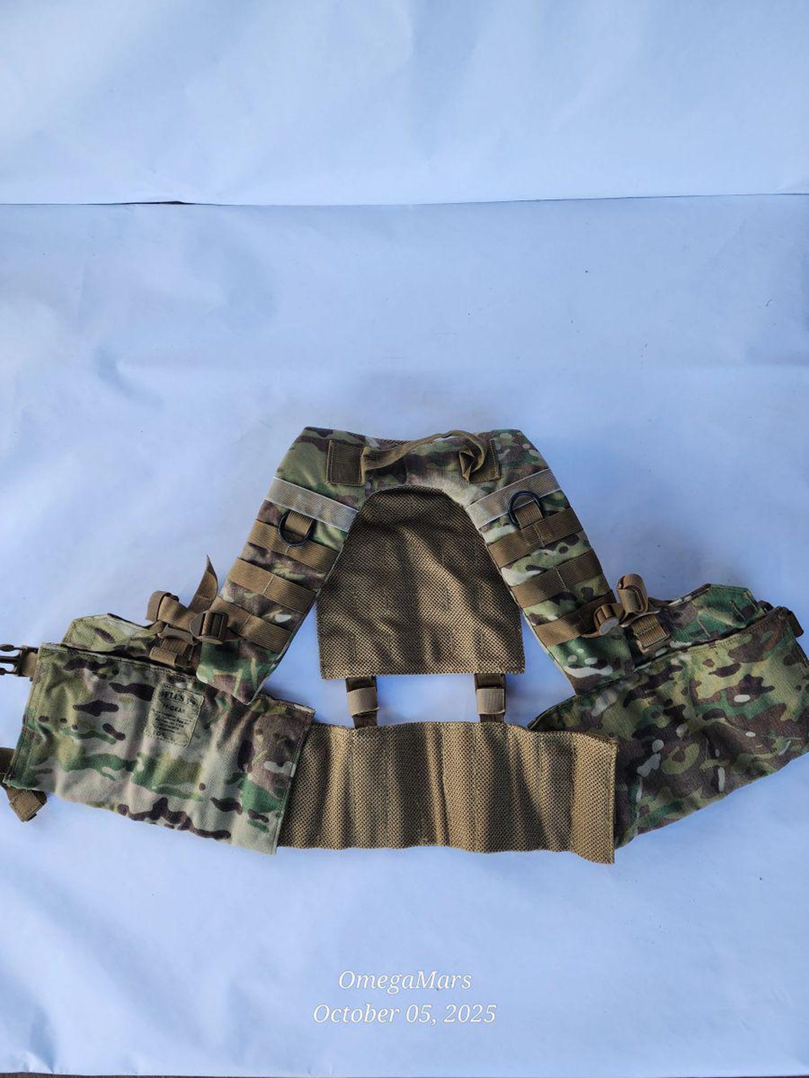 Ltcol Defensor Fortis Defensor Fortis Load Carrying System Multicam H-gear Mav Tactical Vest ...