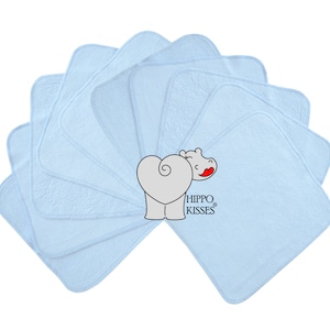 Baby Washcloths Baby Blue, Cloth Wipes, Reusable Wipes, 10 Pack, Facial Cloths, Washable Sanitizing Wipes
