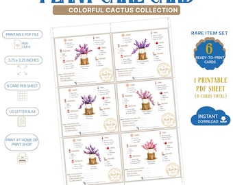 Pink and Purple Cactus Plant Care Cards, Printable Cactus Journal Cards, Colorful Plant Gift, A4 & US Letter Digital Download