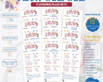 Flowering Plant Care Card Filled Set, 12 Ready-to-Use Printable Plant Tags, Pre-Filled Houseplant Care Cards, PDF Digital Download