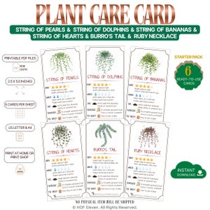Puede incluir: Un juego de seis tarjetas de cuidado de plantas imprimibles de 6,35 por 12,7 cm, con ilustraciones e instrucciones para suculentas String of Pearls, Dolphins, Bananas, Hearts, Burro's Tail y Ruby Necklace con iconos de luz y agua.
