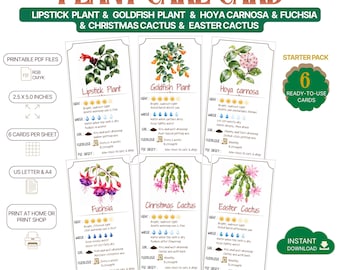 Printable Plant Care Cards Set of 6, Lipstick Plant, Goldfish Plant, Hoya, Fuchsia, Christmas & Easter Cactus, Digital Download