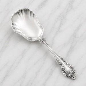 Oneida Community BRAHMS Stainless Casserole Spoon Serving Silverware Flatware