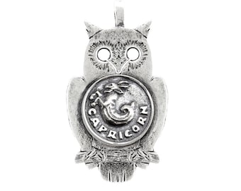 Sterling Silver Capricorn Owl Pendant Necklace: Zodiac Jewelry