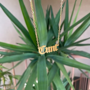 Cunt Nameplate Stainless Steel 90s Gold Plated image 4