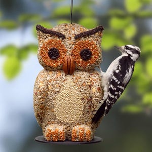 May include: Owl-shaped bird feeder filled with seeds, featuring a black and white woodpecker perched on the side. The feeder is made of various seeds and nuts, with a pecan nut beak and black seed eyes. The feeder hangs from a black wire.