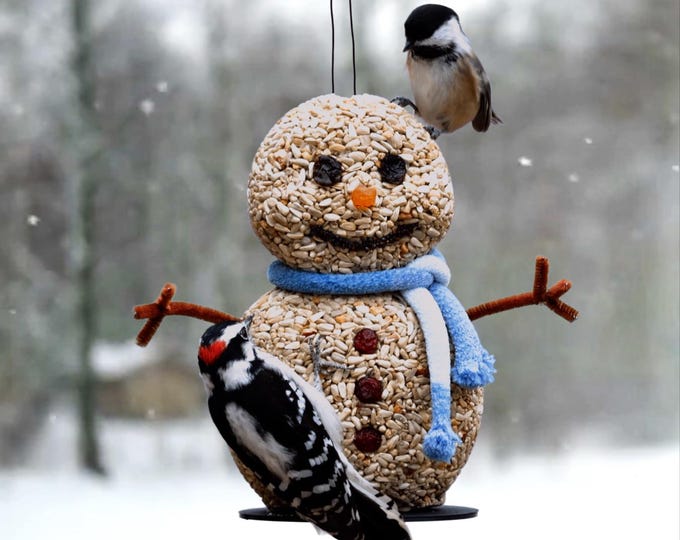 Handmade Snowman Bird Seed Feeder: Edible Wild Bird Lover Gift