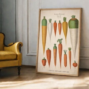Botanisches Poster, Vintage-Illustration von Wurzelgemüse, Küchenwandbild
