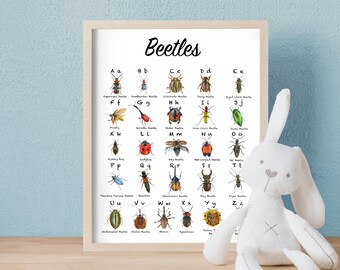 ABC Alphabet Watercolor A-Z Beetles Poster, PRINTABLE Art Bugs Print, Educational Art Kids Room Decor, Large 16x20 Poster Digital Download