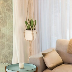 May include: A hanging macrame plant holder with a white ceramic pot containing a cactus. The plant holder is suspended from a ceiling and hangs in front of a window with white curtains. A light blue side table and sofa are in the foreground.