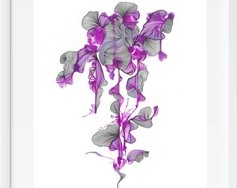 Amaranth - Giclee Print für Interiors | Lila Farbtöne, schwarze Tinte und Stift. Wohndekoration, Wandkunst, erschwingliche Kunst, Blumen inspiriert, Naturkunst