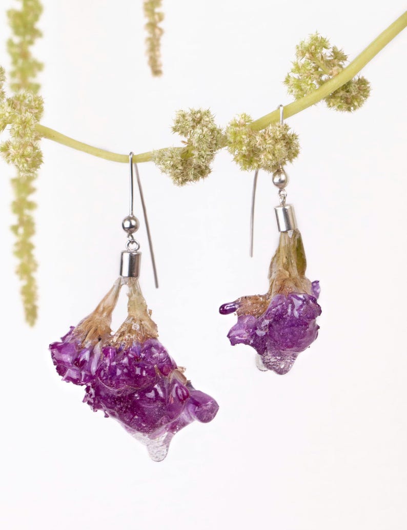 May include: A pair of handmade earrings featuring vibrant purple flowers encased in clear resin. The earrings hang from silver-colored hooks, with a small silver bead and a cylindrical silver component. The flowers have a natural, organic appearance.