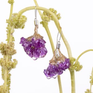 May include: A pair of purple flower earrings with silver hooks. The earrings are made from real flowers encased in clear resin, with a delicate, natural appearance. The earrings hang from a light green stem with small, yellow-green buds.