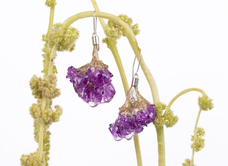 May include: A pair of purple flower earrings with silver hooks. The earrings are made from real flowers encased in clear resin, with a delicate, natural appearance. The earrings hang from a light green stem with small, yellow-green buds.