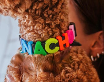 Personalized Dog Collar with Name, Custom colorful Pet Collar, Cute Dog Collar, Adjustable Puppy Collar