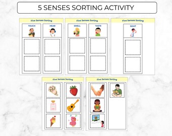 Five Senses Sorting Activity, 5 Senses Worksheet, Science Activities for Preschool