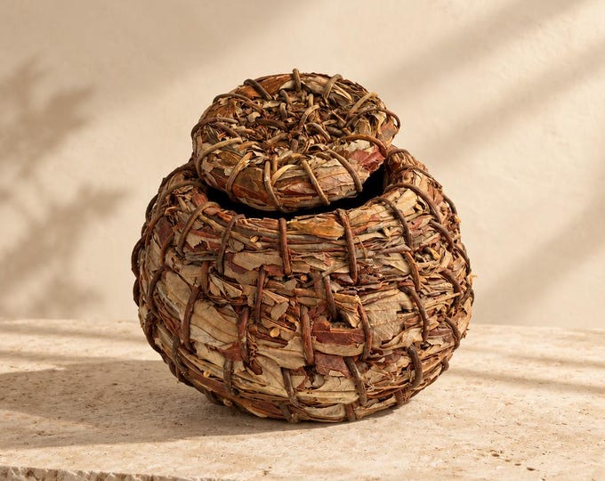 Vintage Native American Kumeyaay California Mission Kumiai Diegueno lidded basket