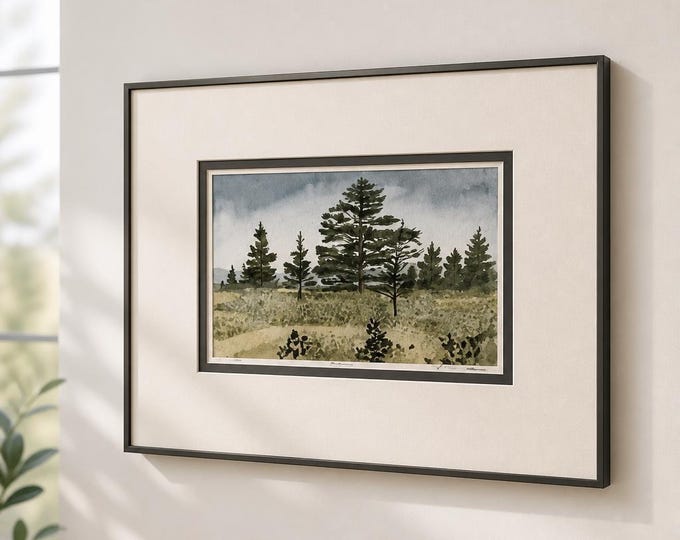 Etching- Signed/number 20 of 400 titled “Pines”.  Matted and framed.