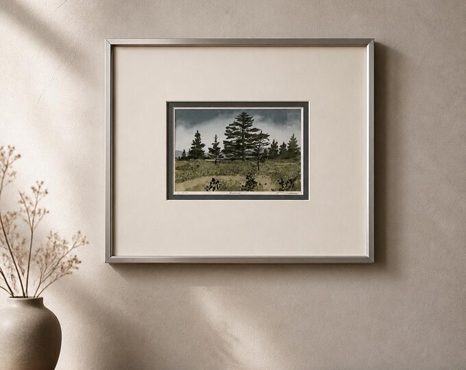 Limited edition signed/numbered hand colored etching titled “pines”.
