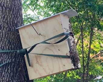 Bee Swarm Trap, Hive Beekeeping