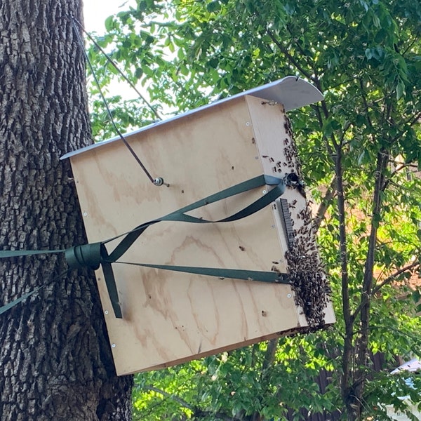 Premium Swarm Trap for Honey Bees