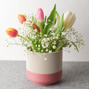Könnte beinhalten: Ein Blumenarrangement mit bunten Tulpen und zartem weißen Schleierkraut in einer zweifarbigen, gerippten Keramikvase in Rosa und Beige. Die Tulpen zeigen Farbtöne von Rosa, Orange und Weiß und bilden eine lebendige Darstellung.