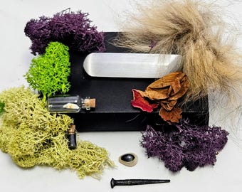 Lavender, Foxes & Porcupines (curiosity boxes). Witchy. Reiki-Infused.