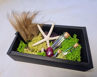 I Collect Dead Stuff (curiosity boxes): buffalo, shells, nails, flowers & beetles. Witchy AF. Reiki-Infused.