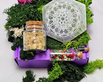 Rocks n Dead Stuff (curiosity boxes): turtle, rose quartz, selenite, skull. Witchy AF. Reiki-Infused.