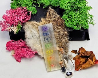 ROCK OUT (curiosity boxes): Rose Quartz, Rabbit, Rainbow Kyanite, Selenite, Black Tourmaline. Reiki-Infused. Witchy.
