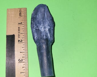 Camarasaurus Tooth Replica