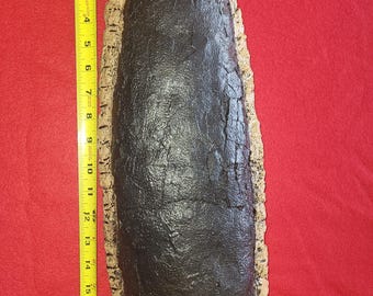 Tyrannosaurus rex egg replica