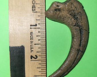 Hand-Cast Velociraptor Claw Replica: 3.75" Jurassic Fossil Collectible
