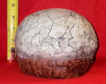 Hadrosaur Egg Replica (Dendroolithus) – Dinosaur Fossil Replica from China, Cretaceous Period
