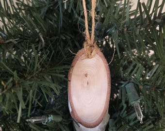 Adornos de abedul (juego de 10) en blanco