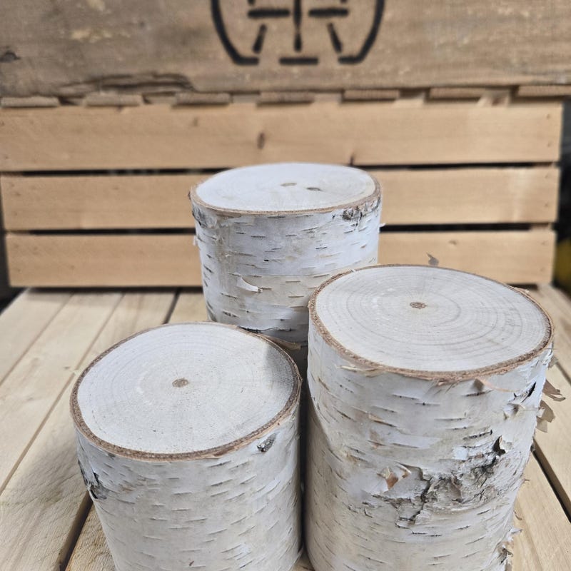 Birch Centerpieces - Etsy