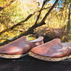 May include: A pair of brown leather slip-on shoes with a stitched sole. The shoes are made of a smooth, dark brown leather and have a simple, classic design. The background is a blurred view of a forest.