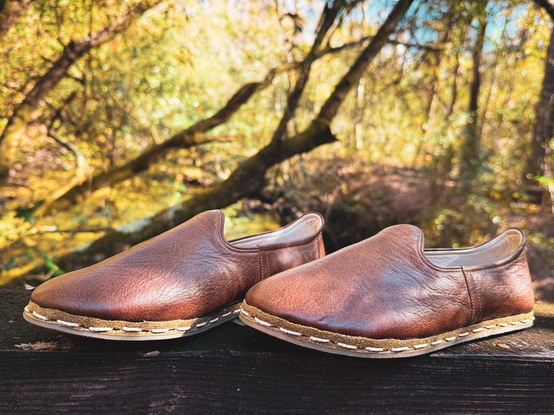 May include: A pair of brown leather slip-on shoes with a stitched sole. The shoes are made of a smooth, dark brown leather and have a simple, classic design. The background is a blurred view of a forest.