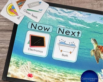 Personalized Now and Next Board | Visual Routine Aid with 40 PECS