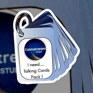 PECS Communication Keyring - Basic Needs Visual Aid, Autism SEN