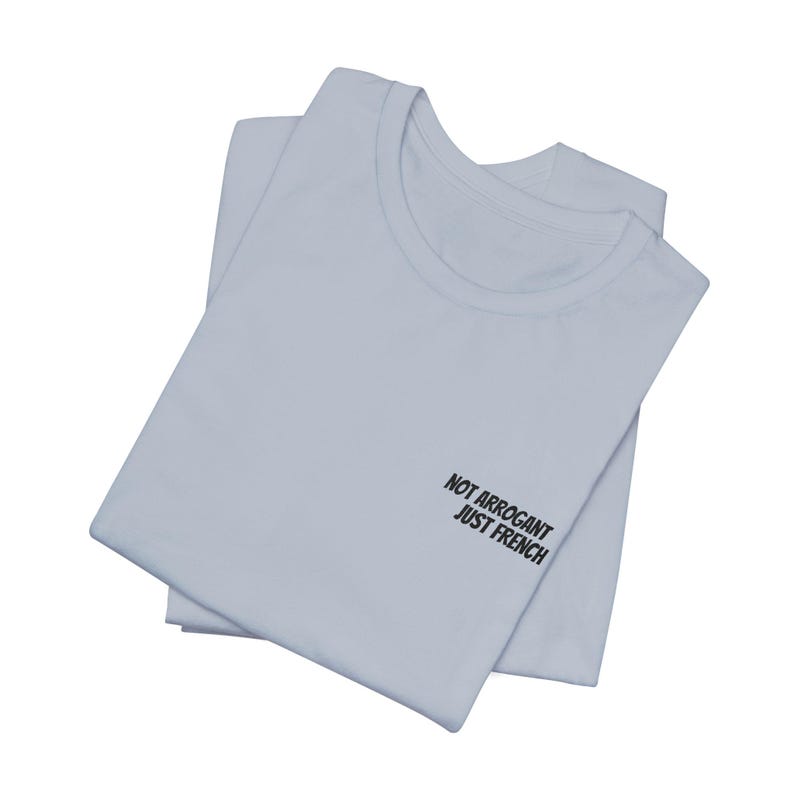 Not Arrogant Just French T-Shirt, Embroidered Parisian Style Daily Wear Tee Light Blue