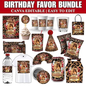 Cheetah Print Birthday Templates, Red Cheetah Birthday Party Bundle, Cheetah Birthday Chip Bag, Backdrop, Birthday Flyer, Birthday Banner